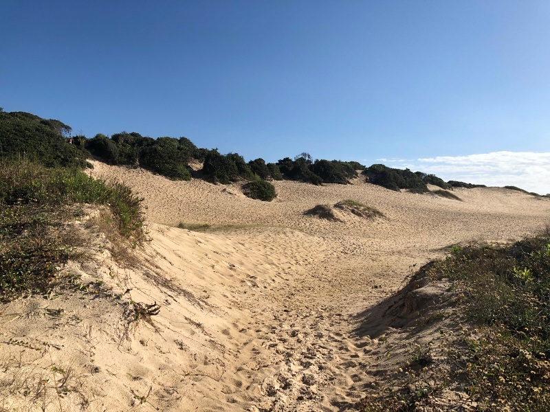 Área de restinga e dunas