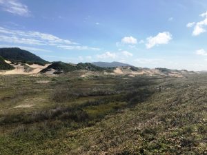 Área de restinga e dunas