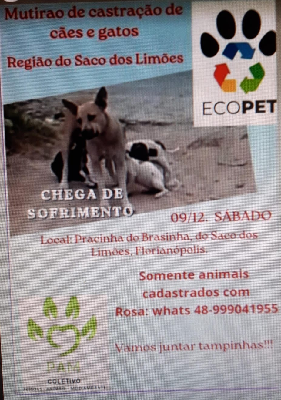 Saco dos Limões promove mutirão de castração de animais 1