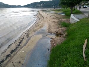 Leia mais sobre o artigo Relatório apresenta diagnóstico de integridade ecológica da Lagoa da Conceição