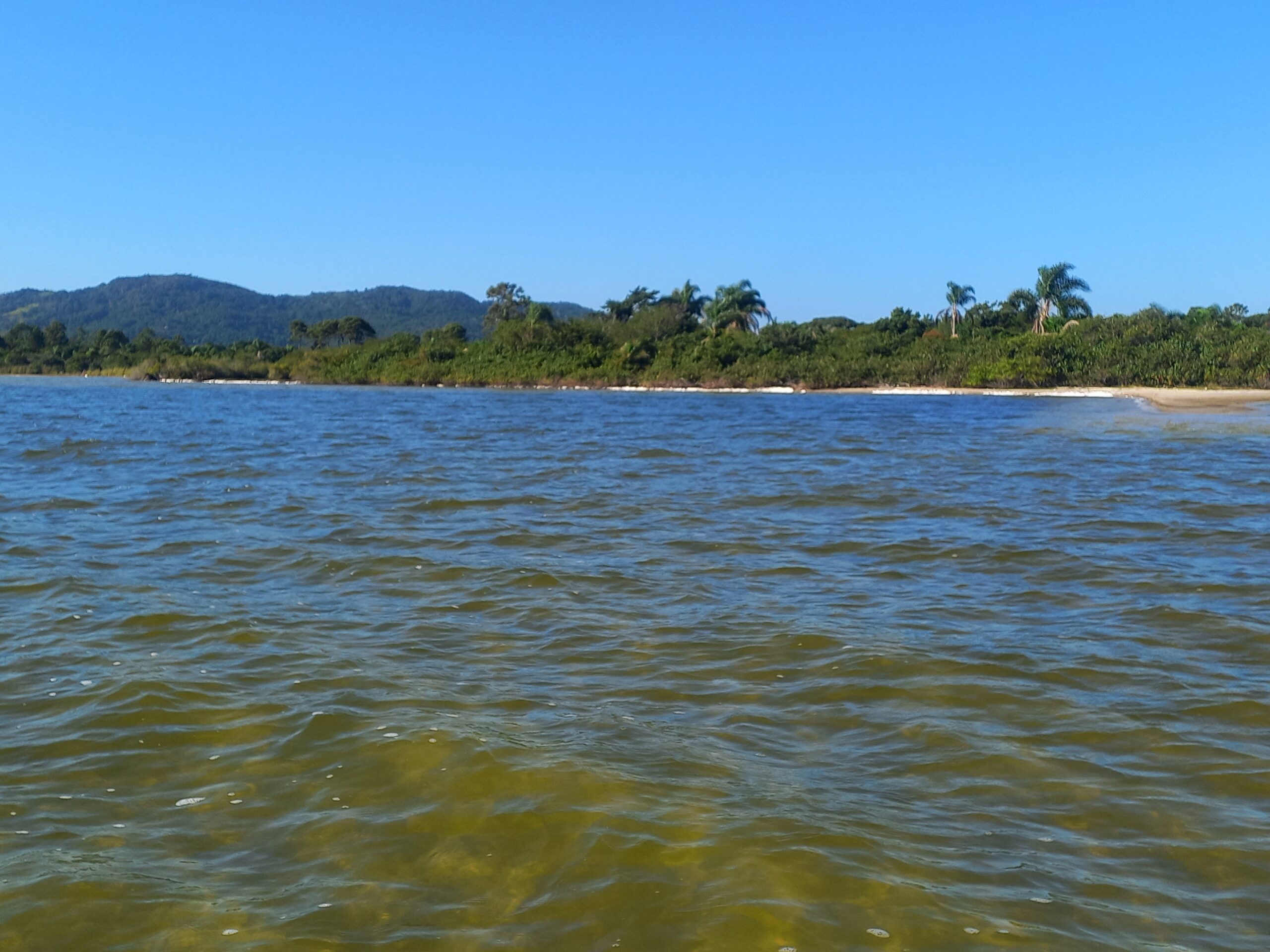 Relatório apresenta diagnóstico de integridade ecológica da Lagoa da Conceição 1