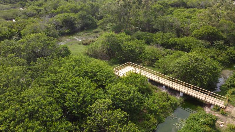 Jardim Botânico ganha decks para contemplação da fauna e flora 1