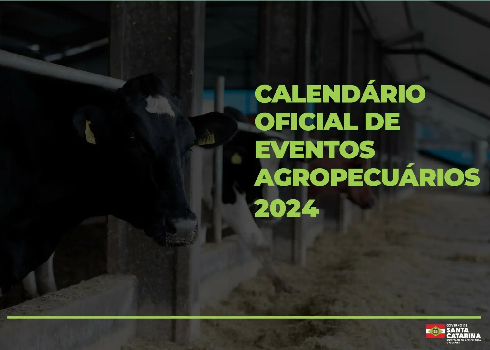 Mais de 400 eventos agropecuários estão no calendário oficial de 2024 em Santa Catarina 1
