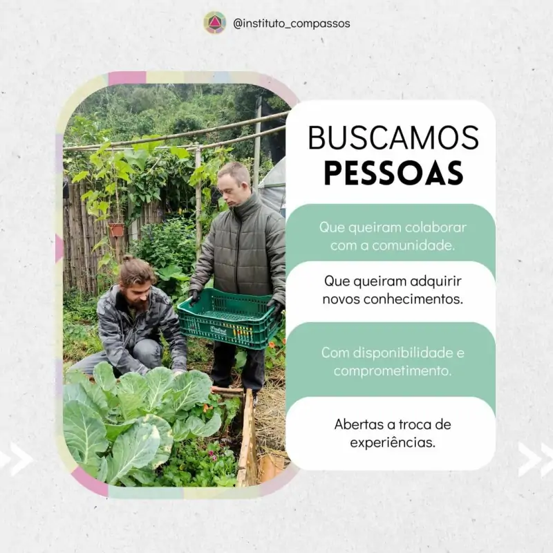 O Instituto Compassos promove agricultura urbana sustentável no Campeche 2