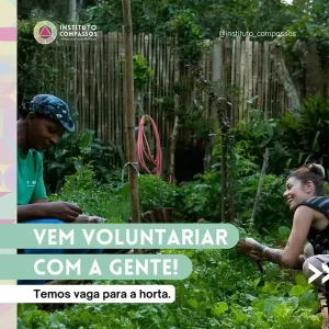 Leia mais sobre o artigo O Instituto Compassos promove agricultura urbana sustentável no Campeche