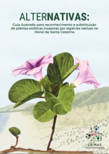 Leia mais sobre o artigo Guia ilustrado apresenta plantas nativas do litoral de Santa Catarina que podem ser utilizadas para substituir plantas exóticas invasoras para fins ornamentais