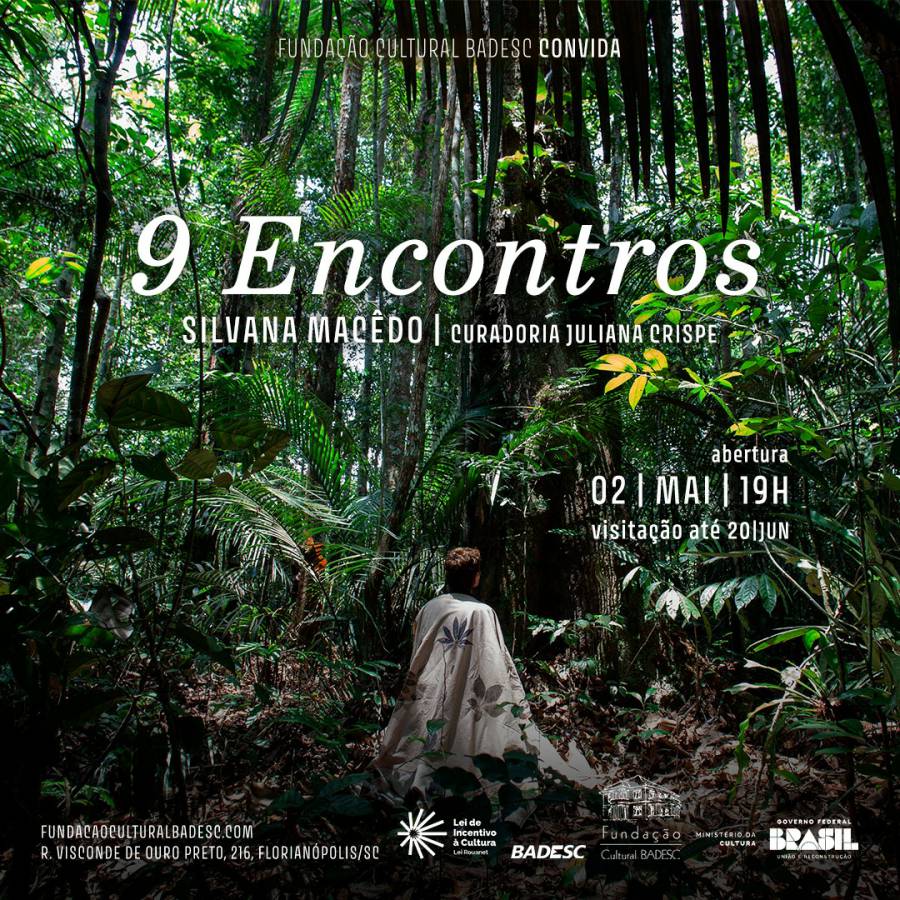 Encontros com nove árvores amazônicas é tema de exposição inédita em Florianópolis 1