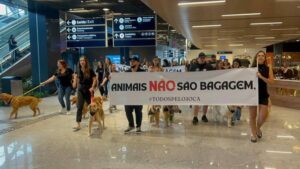 Protesto “Todos Pelo Joca” pede justiça e reúne dezenas de cães no Aeroporto de Florianópolis 3