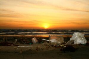 Leia mais sobre o artigo UFSC participa do mais amplo e inédito estudo sobre microplásticos no litoral