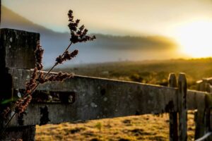 Frio intenso chega a SC com possibilidade de geada e temperaturas negativas nos pontos mais altos da Serra 1