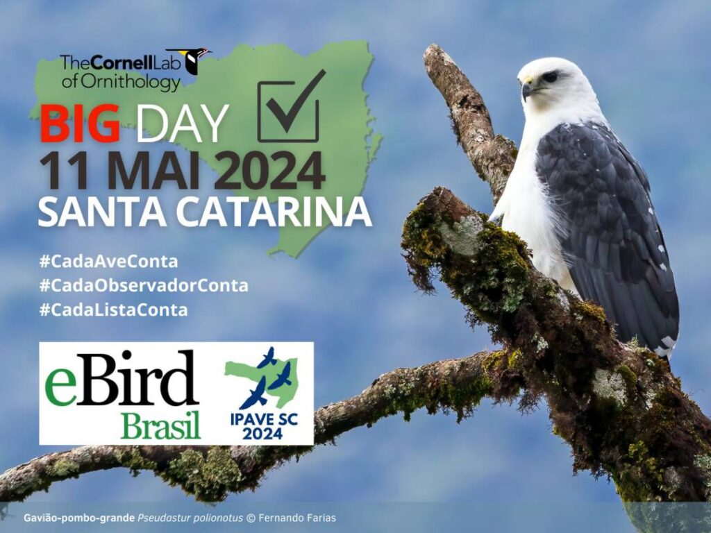 Unidades de Conservação administradas pelo IMA receberão evento mundial de observação de aves 3