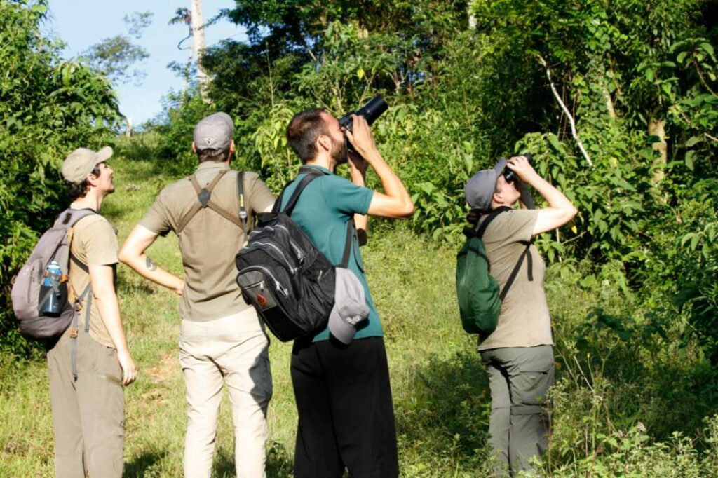 Unidades de Conservação administradas pelo IMA receberão evento mundial de observação de aves 1