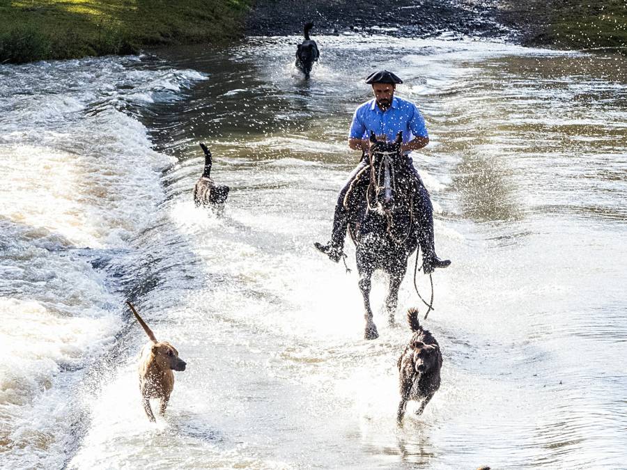 Belezas da Serra de SC integram fotolivro que será lançado em Florianópolis 2