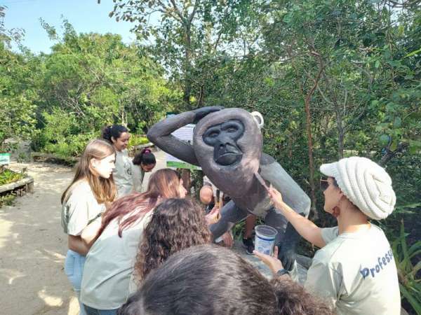 Clube de Geografia ajuda na preservação de animais e plantas no Sul da Ilha 1