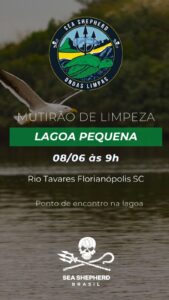 Leia mais sobre o artigo Mutirão de Limpeza em Defesa do Oceano na Lagoa Pequena do Campeche acontece neste sábado