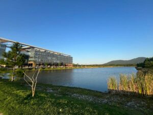 Leia mais sobre o artigo Secretaria de Estado da Aquicultura e Pesca realiza a soltura de tainhas no lago artificial do Sapiens Parque