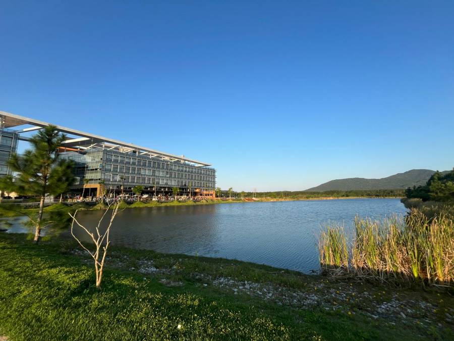 Secretaria de Estado da Aquicultura e Pesca realiza a soltura de tainhas no lago artificial do Sapiens Parque 1