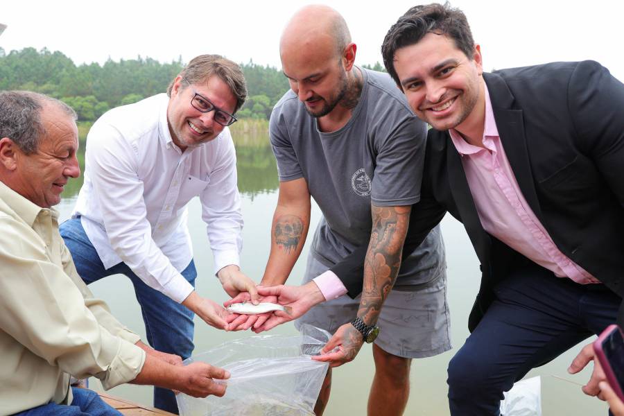 Soltura de tainhas em lago artificial do Sapiens Parque reforça trabalho de pesquisa da espécie 1