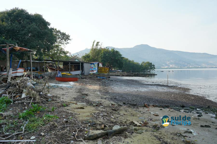 Associação dos Pescadores do Saco dos Limões Celebra Dia dos Manguezais com Ação Ambiental 40