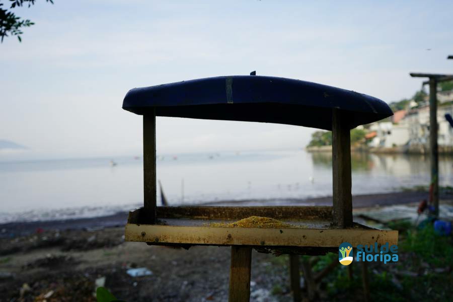 Associação dos Pescadores do Saco dos Limões Celebra Dia dos Manguezais com Ação Ambiental 45