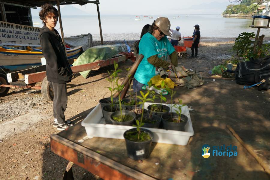 Associação dos Pescadores do Saco dos Limões Celebra Dia dos Manguezais com Ação Ambiental 56