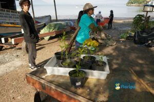 Leia mais sobre o artigo Associação dos Pescadores do Saco dos Limões Celebra Dia dos Manguezais com Ação Ambiental