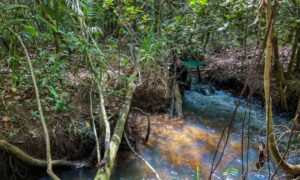 Leia mais sobre o artigo Estudo aponta impacto negativo de mudanças climáticas na agricultura