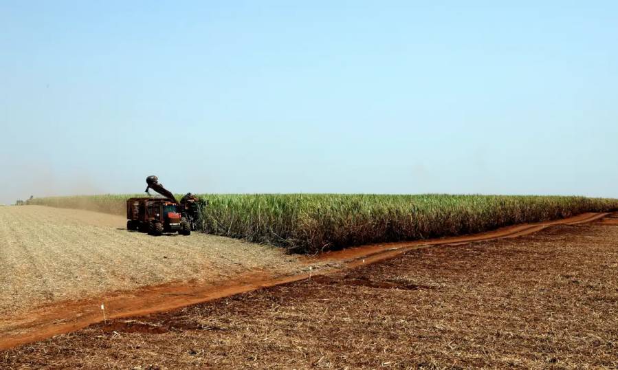 Governo libera R$ 210 milhões para o seguro rural no Rio Grande do Sul 1