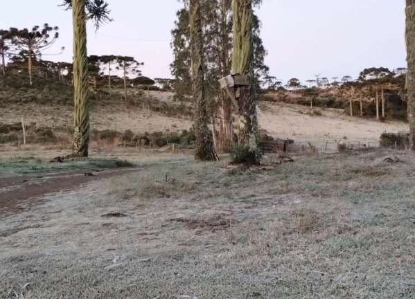 Urupema registra -7,2°C na madrugada de domingo, a menor temperatura do ano em Santa Catarina 1