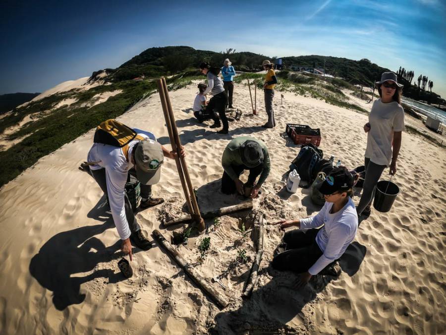 Projeto Restaura Restinga lança vídeo sobre a recuperação das dunas da Lagoa da Conceição 1