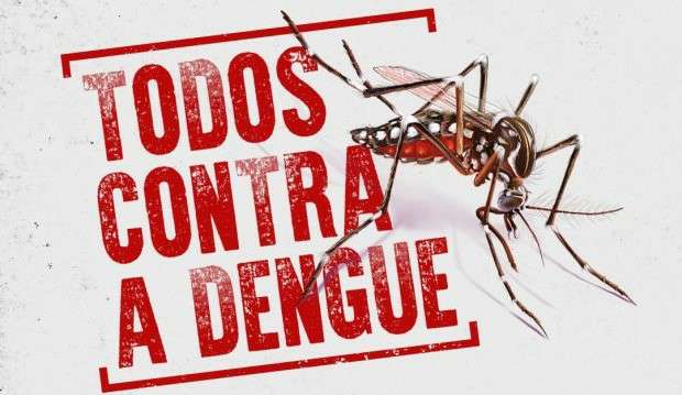 Secretaria da Saúde faz alerta sobre o número de casos de Dengue em SC em 2024 9