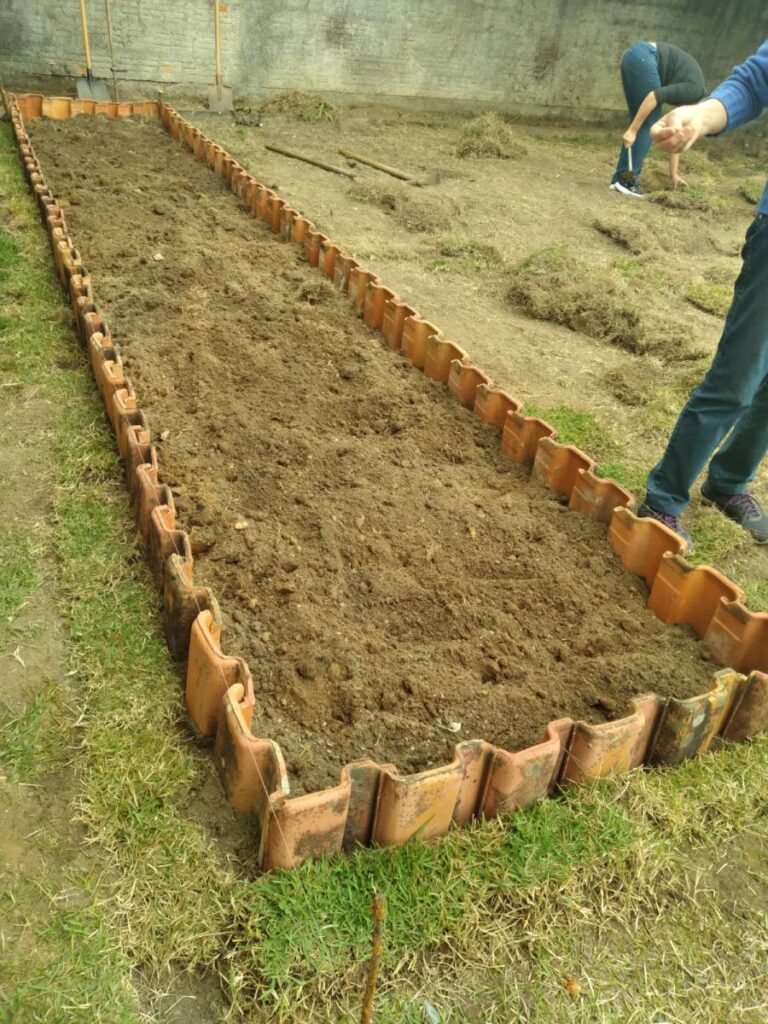 Curso de Horta Familiar no Carianos teve início neste mês de setembro 1