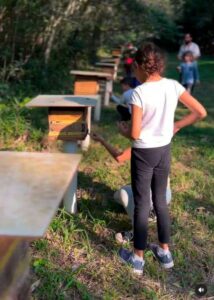 Leia mais sobre o artigo Escola de Agrofloresta abre as portas para vivência na Lagoa do Peri