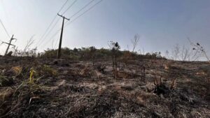 Leia mais sobre o artigo Incêndio em Florianópolis é controlado após madrugada em chamas