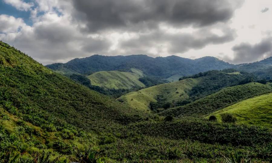 Operação contra o desmatamento da Mata Atlântica começa em 17 estados 2