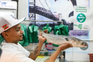 Leia mais sobre o artigo Primeira Semana Estadual de Incentivo ao Consumo de Peixes e Frutos do Mar tem início em Santa Catarina