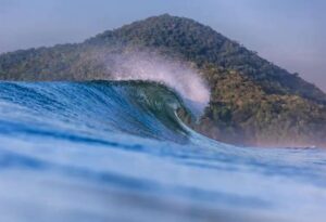 Leia mais sobre o artigo Quatro praias são eleitas para se tornarem santuário do surfe nacional