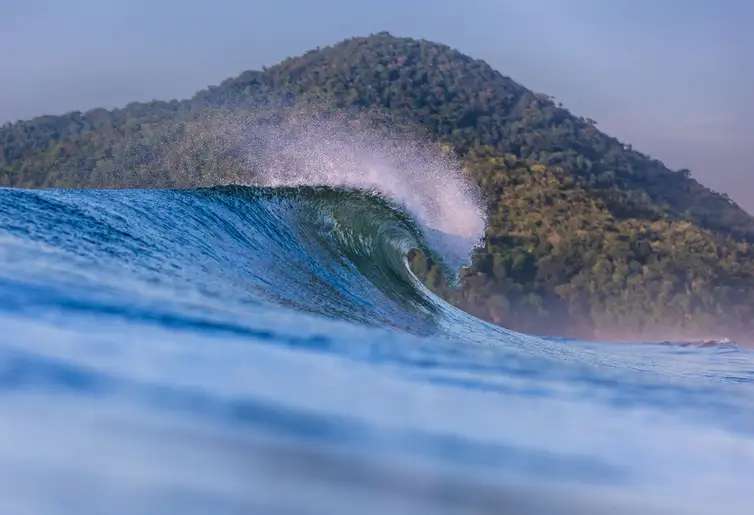 Quatro praias são eleitas para se tornarem santuário do surfe nacional 1