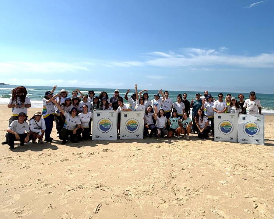 Em 2024, projeto já devolveu ao mar 74 pinguins reabilitados em Florianópolis 1