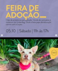 Leia mais sobre o artigo Oka Floripa promove feira de adoção de pets neste sábado