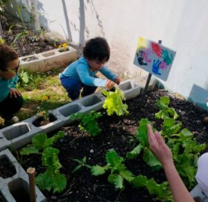 Leia mais sobre o artigo Projeto de horta estimula hábitos saudáveis em creche do Carianos