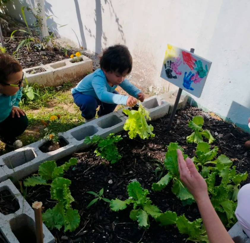 Projeto de horta estimula hábitos saudáveis em creche do Carianos 1