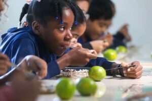 Leia mais sobre o artigo SC terá evento de Formação em Educação Alimentar e Nutricional no dia 16 de outubro