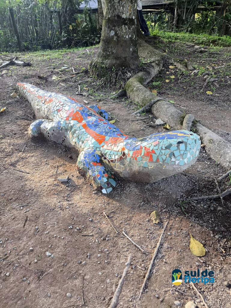 Trilha e Oficina de Fotografia para crianças no Horto Florestal 32