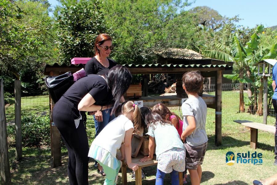 Vivências lúdicas com abelhas sem ferrão no Pântano do Sul 56