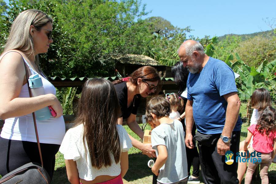 Vivências lúdicas com abelhas sem ferrão no Pântano do Sul 60