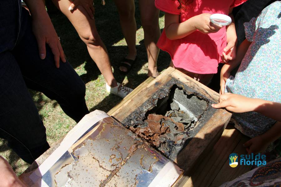 Vivências lúdicas com abelhas sem ferrão no Pântano do Sul 67