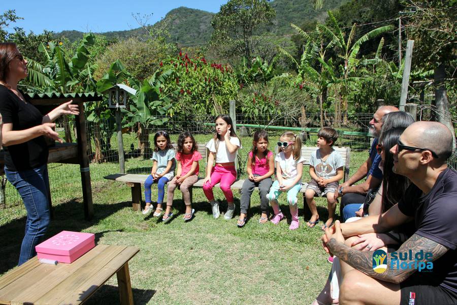 Vivências lúdicas com abelhas sem ferrão no Pântano do Sul 4