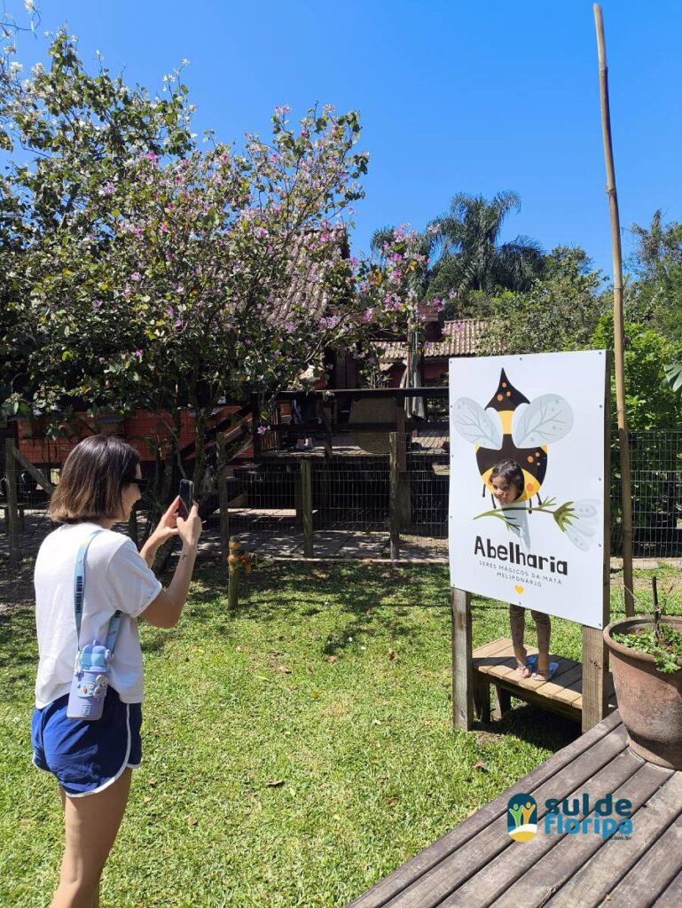 Vivências lúdicas com abelhas sem ferrão no Pântano do Sul 7