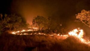 Leia mais sobre o artigo Brasil reduz em 12% emissões de gases do efeito estufa em 2023